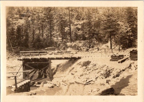 Vintage 1920s sepia photo - vintage,